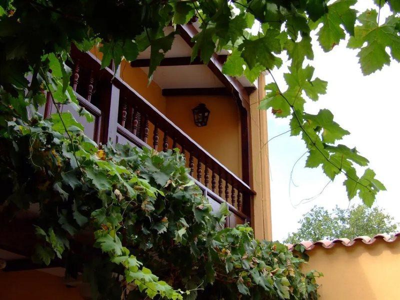 Villa Vicuna Cafayate Boutique Hotel Exterior foto